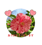ありがとう・ありがとうございます（個別スタンプ：17）