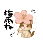 桜にゃん③ふわ夏,………（個別スタンプ：22）