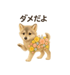 花畑どうぶつ（個別スタンプ：17）