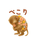 花畑どうぶつ（個別スタンプ：19）