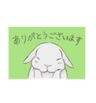うさぎさんの「ありがとう」スタンプ（個別スタンプ：2）