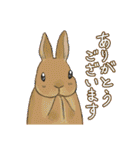 うさぎさんの「ありがとう」スタンプ（個別スタンプ：11）