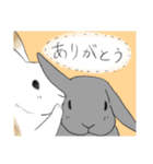 うさぎさんの「ありがとう」スタンプ（個別スタンプ：18）