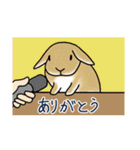 うさぎさんの「ありがとう」スタンプ（個別スタンプ：21）