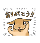 うさぎさんの「ありがとう」スタンプ（個別スタンプ：23）