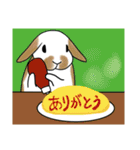 うさぎさんの「ありがとう」スタンプ（個別スタンプ：31）
