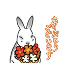 うさぎさんの「ありがとう」スタンプ（個別スタンプ：37）