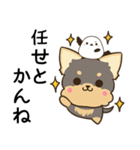 長崎弁のヨークシャーテリアとシマエナガ（個別スタンプ：5）