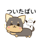 長崎弁のヨークシャーテリアとシマエナガ（個別スタンプ：19）