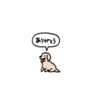 ゴールデンレトリバー(フキダシ)（個別スタンプ：2）