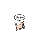 ゴールデンレトリバー(フキダシ)（個別スタンプ：5）
