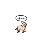 ゴールデンレトリバー(フキダシ)（個別スタンプ：9）