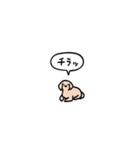 ゴールデンレトリバー(フキダシ)（個別スタンプ：12）
