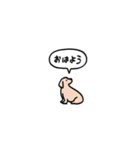 ゴールデンレトリバー(フキダシ)（個別スタンプ：19）