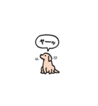 ゴールデンレトリバー(フキダシ)（個別スタンプ：22）