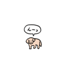 ゴールデンレトリバー(フキダシ)（個別スタンプ：24）
