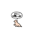 ゴールデンレトリバー(フキダシ)（個別スタンプ：26）