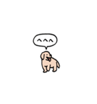 ゴールデンレトリバー(フキダシ)（個別スタンプ：35）
