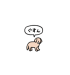 ゴールデンレトリバー(フキダシ)（個別スタンプ：38）
