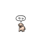 ゴールデンレトリバー(フキダシ)（個別スタンプ：40）