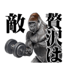 マッチョ！ごりごりゴリラ★デカ文字（個別スタンプ：5）