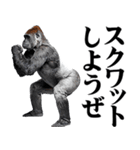 マッチョ！ごりごりゴリラ★デカ文字（個別スタンプ：10）