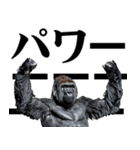 マッチョ！ごりごりゴリラ★デカ文字（個別スタンプ：15）