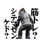 マッチョ！ごりごりゴリラ★デカ文字（個別スタンプ：16）