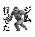 マッチョ！ごりごりゴリラ★デカ文字（個別スタンプ：31）