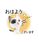 色々な猫2-1 短毛-立ち耳-白に黒ぶち（個別スタンプ：2）