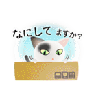 色々な猫2-1 短毛-立ち耳-白に黒ぶち（個別スタンプ：8）