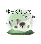 色々な猫2-1 短毛-立ち耳-白に黒ぶち（個別スタンプ：12）