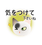 色々な猫2-1 短毛-立ち耳-白に黒ぶち（個別スタンプ：14）