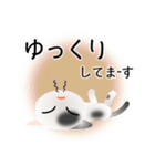 色々な猫2-1 短毛-立ち耳-白に黒ぶち（個別スタンプ：18）