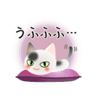 色々な猫2-1 短毛-立ち耳-白に黒ぶち（個別スタンプ：25）