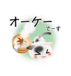 色々な猫2-1 短毛-立ち耳-白に黒ぶち（個別スタンプ：28）