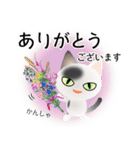 色々な猫2-1 短毛-立ち耳-白に黒ぶち（個別スタンプ：31）