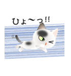 色々な猫2-1 短毛-立ち耳-白に黒ぶち（個別スタンプ：34）