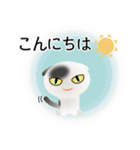 色々な猫2-2 短毛-垂れ耳-白に黒ぶち（個別スタンプ：5）