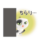 色々な猫2-2 短毛-垂れ耳-白に黒ぶち（個別スタンプ：6）