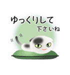 色々な猫2-2 短毛-垂れ耳-白に黒ぶち（個別スタンプ：12）