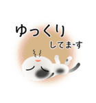 色々な猫2-2 短毛-垂れ耳-白に黒ぶち（個別スタンプ：18）