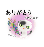 色々な猫2-2 短毛-垂れ耳-白に黒ぶち（個別スタンプ：31）
