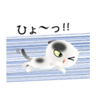 色々な猫2-2 短毛-垂れ耳-白に黒ぶち（個別スタンプ：34）