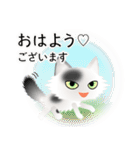 色々な猫2-3 長毛-立ち耳-白に黒ぶち（個別スタンプ：1）