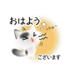色々な猫2-3 長毛-立ち耳-白に黒ぶち（個別スタンプ：2）