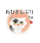 色々な猫2-3 長毛-立ち耳-白に黒ぶち（個別スタンプ：3）