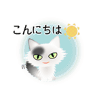 色々な猫2-3 長毛-立ち耳-白に黒ぶち（個別スタンプ：5）
