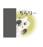 色々な猫2-3 長毛-立ち耳-白に黒ぶち（個別スタンプ：6）