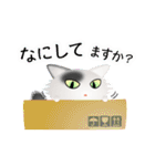 色々な猫2-3 長毛-立ち耳-白に黒ぶち（個別スタンプ：8）